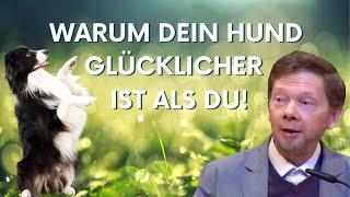 Du bist der Raum nicht die Form Eckhart Tolle deutsch [upl. by Hamfurd]