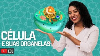 Aula Célula e suas organelas [upl. by Kentigerma187]