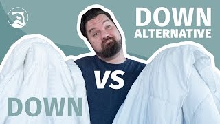 Down Vs Down Alternative Comforters  How Can You Choose [upl. by Saretta688]