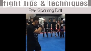 PreSparring Drill [upl. by Aneetsirk]