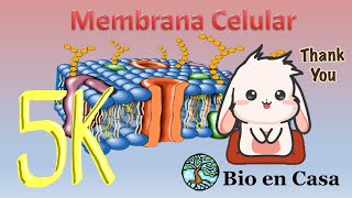 TODO sobre Membrana celular [upl. by Vonni321]