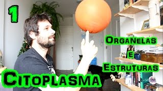 Organelas Citoplasmáticas Parte 1  Citoplasma [upl. by Lian862]