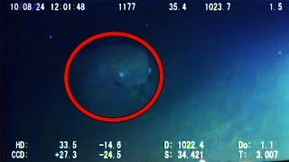 12 Mysterious Underwater Creatures Caught on Tape [upl. by Nahrut67]