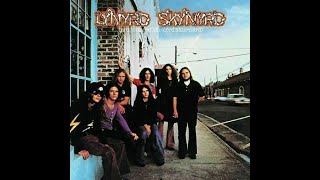 Greatest Southern Rock Albums of All Time [upl. by Oflodor]