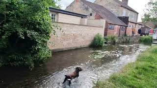 Nettleham Beck [upl. by Ardien]