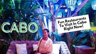 4 Fun Restaurants To Visit in Cabo  Cabo Foodie Travel Guide [upl. by Gayle]