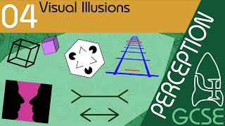 Visual Illusions  Perception GCSE Psychology AQA [upl. by Eilyac22]