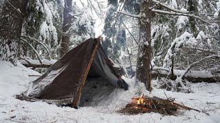 Solo Winter Camping in Heavy Snow  Overnight in Tarp Shelter [upl. by Rubetta]