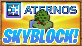 HOW TO MAKE A SKYBLOCK SERVER WITH ATERNOS 1165 [upl. by Nyer658]