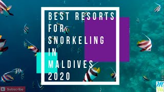 Best Resorts for Snorkeling in Maldives [upl. by Otreblaug]