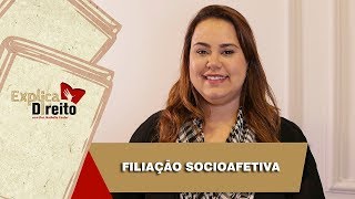 Explica Direito Filiação Socioafetiva  2019 [upl. by Amilah]