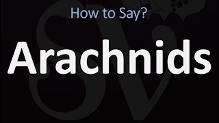 How to Pronounce Arachnids CORRECTLY [upl. by Alihs]