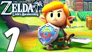 Legend of Zelda Links Awakening  Gameplay Walkthrough Part 1  FULL GAME REMAKE [upl. by Reba]