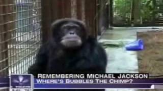 Does Bubbles the Chimp Miss Michael [upl. by Iliak]