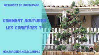 Comment bouturer les conifères   Monjardindansleslandes [upl. by Yeltsew]