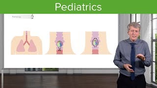 Pediatric Neurological examination [upl. by Fanchette442]