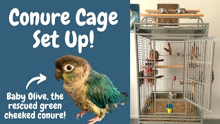 How to Set Up Your Conures Cage  Parrot Cage Tour  BirdNerdSophie AD [upl. by Leinnad]