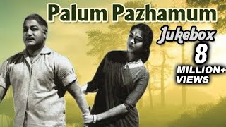 Palum Pazhamum Tamil Movie Songs Jukebox  Sivaji Ganesan Saroja Devi  Classic Songs Collection [upl. by Eiroc]