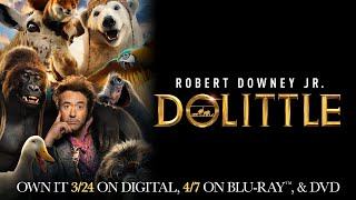 Dolittle  Trailer  Own it on Digital Bluray amp DVD [upl. by Aelgna]