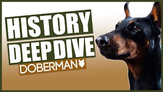 The History of the DOBERMAN [upl. by Curren168]