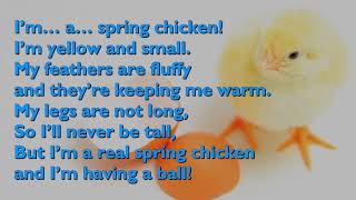 Spring Chicken Song One Mother Hen with lyrics for congregations [upl. by Witt]