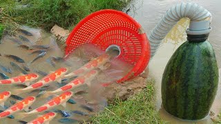 Build Fish Trapping System Make From Watermelon amp Flexible Pipe [upl. by Nored513]