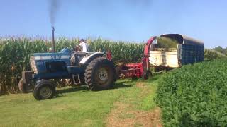 Straight Piped Ford 8600 Chopping Corn Silage [upl. by Dorrej]