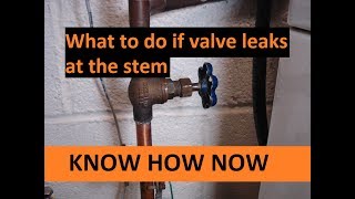 Fix Shut Off Valve Leaking at Stem [upl. by Marciano403]