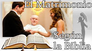 Todo acerca de el Matrimonio Según la Biblia El Amor Padre Luis Toro [upl. by Carny385]