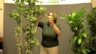 Prune this How and why plants grow tall or grow bushy [upl. by Henderson]