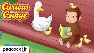 George Helps a Family of Ducks  CURIOUS GEORGE [upl. by Lampert]