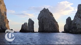 What to Do in Los Cabos Mexico  36 Hours Travel Videos  The New York Times [upl. by Page417]