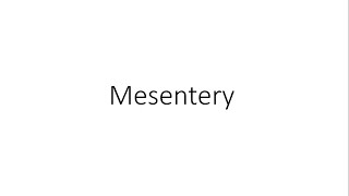 Mesentery  Anatomy [upl. by Stormi]