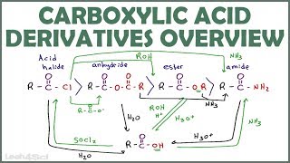 Carboxylic Acid Derivatives Overview and Reaction Map [upl. by Ocire533]