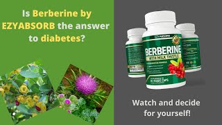 Berberine vs Metformin  The Amazing Benefits of Berberine [upl. by Nagaek]