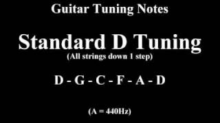 Guitar Tuning Notes  1 Step Down [upl. by Lona543]