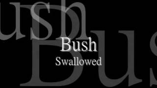 Bush  Swallowed lyric HQ [upl. by Rancell]