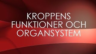 Människokroppen  organsystem [upl. by Adabel868]