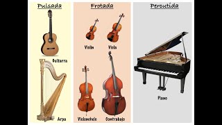 Los instrumentos de cuerda [upl. by Sheehan]