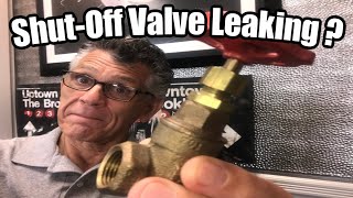 Leaky Shut Off Valve Repair [upl. by Leirraj]