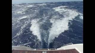 Big cat sailing in a galeAwesome waves and sail controlavi [upl. by Delmore987]