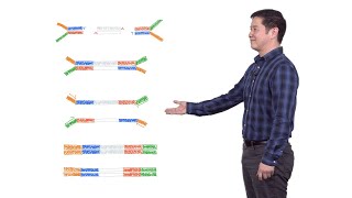 Next Generation Sequencing 2 Illumina NGS Sample Preparation  Eric Chow UCSF [upl. by Kissiah]