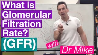 Glomerular Filtration Rate GFR  Renal System [upl. by Hazem]