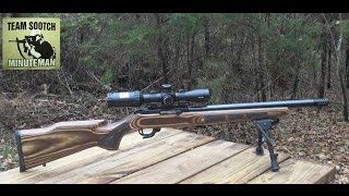 Ruger 1022 Bull Barrel Review [upl. by Eelrahs]