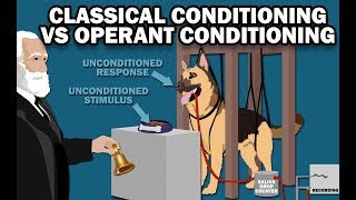 CLASSICAL VS OPERANT CONDITIONING [upl. by Ttennaej]