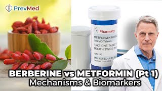 BERBERINE vs METFORMIN Pt 1  Mechanisms amp Biomarkers [upl. by Dnalevets98]