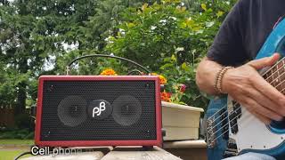 Phil Jones Bass Double Four unboxing and review [upl. by Enelcaj26]