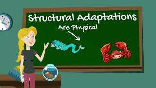 Animal Adaptations [upl. by Nosro]