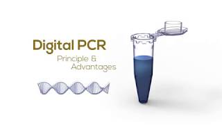 Digital PCR Principle amp Advantages [upl. by Margalit]