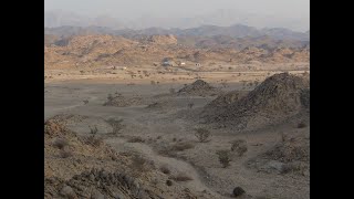 The Story of Al Baydha A Regenerative Agriculture in the Saudi Desert قصة مشروع البيضاء [upl. by Aveline]